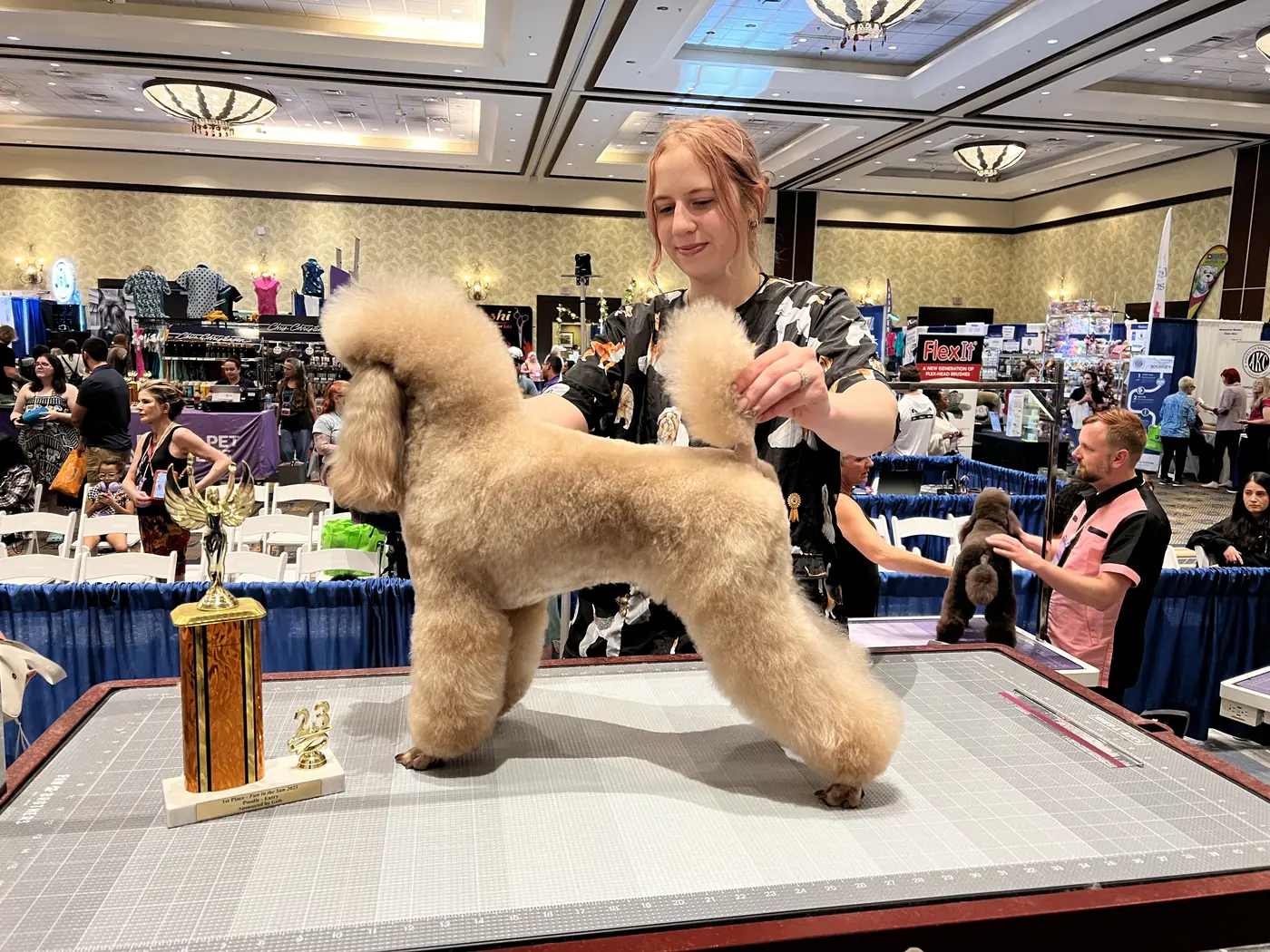 Amber finishing a poodle groom beside a first-place trophy at a dog show