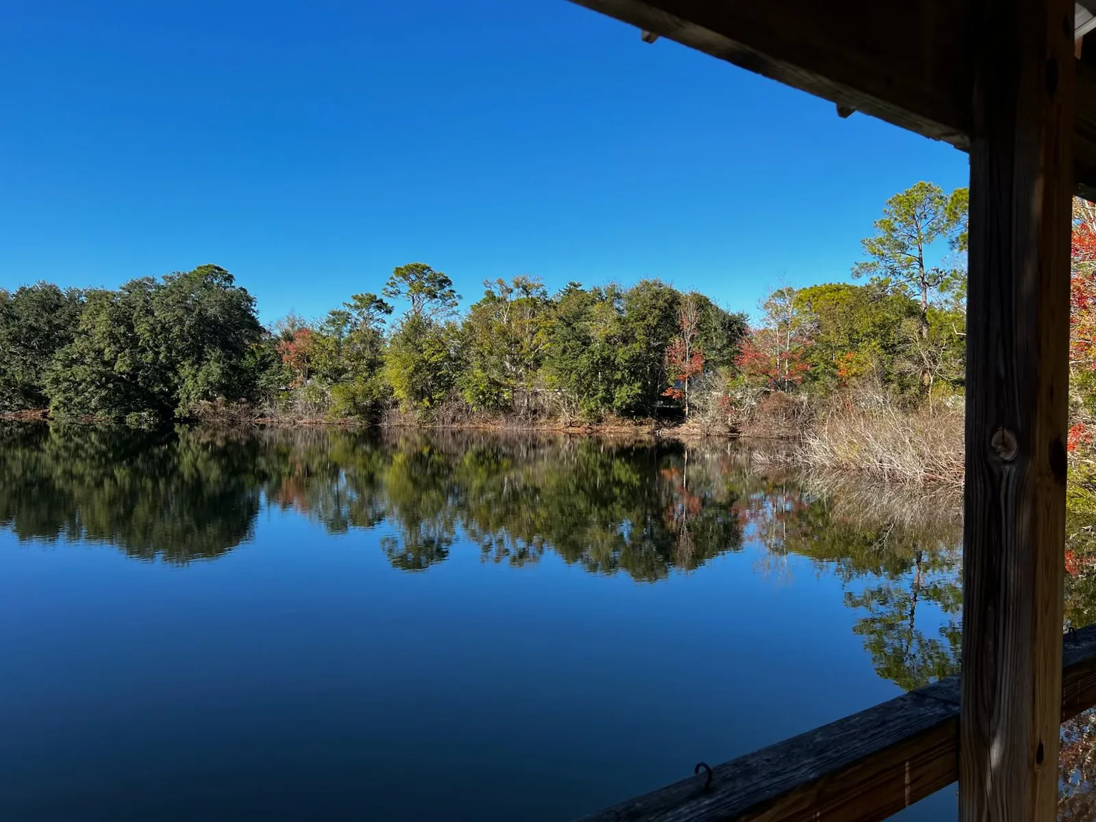 The quiet wooded lakefront at Woodlands Pet Retreat in St. Marys